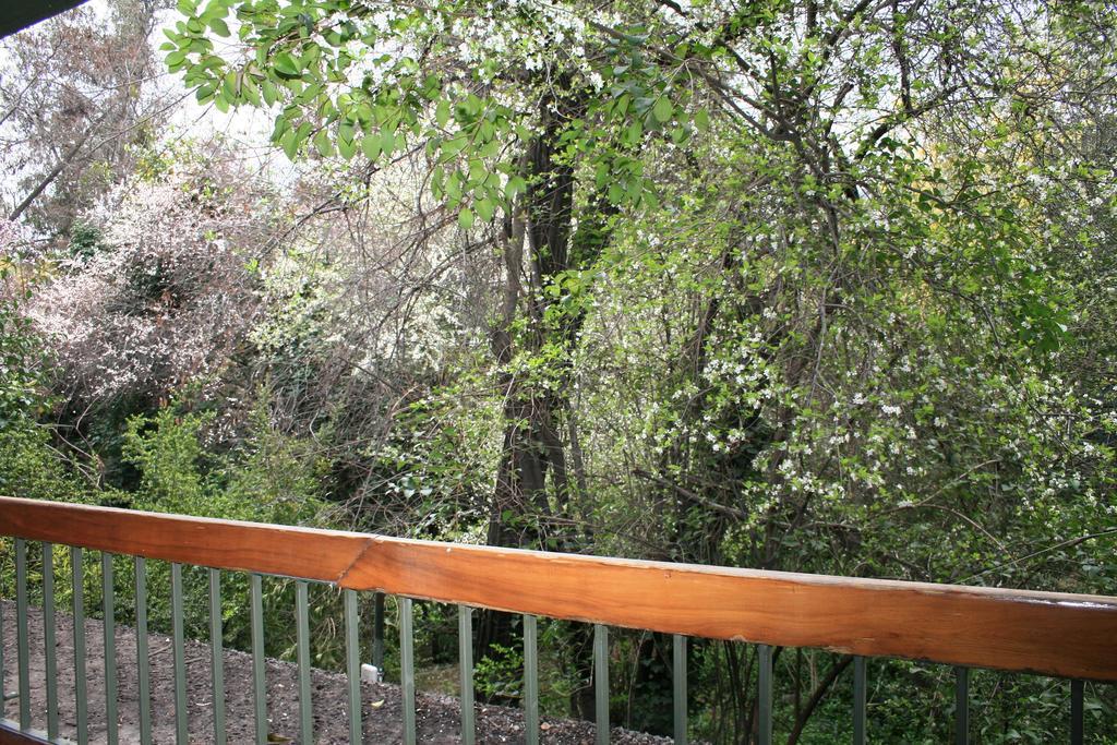 Hotel Acacias De Vitacura Santiago Ngoại thất bức ảnh