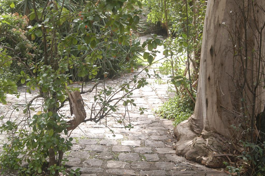 Hotel Acacias De Vitacura Santiago Ngoại thất bức ảnh